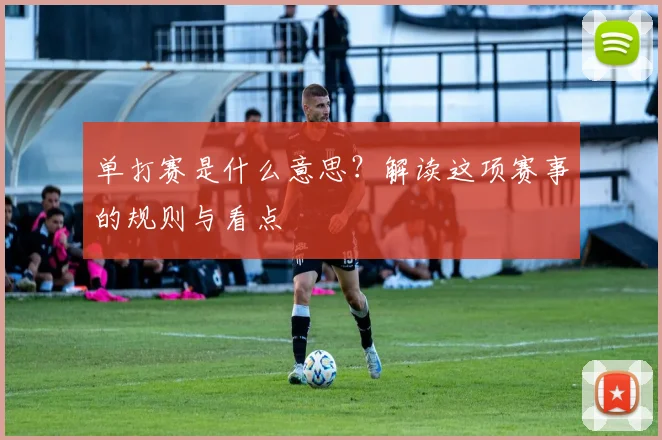 单打赛是什么意思？解读这项赛事的规则与看点
