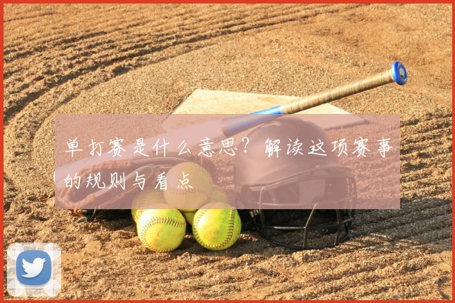 单打赛是什么意思？解读这项赛事的规则与看点