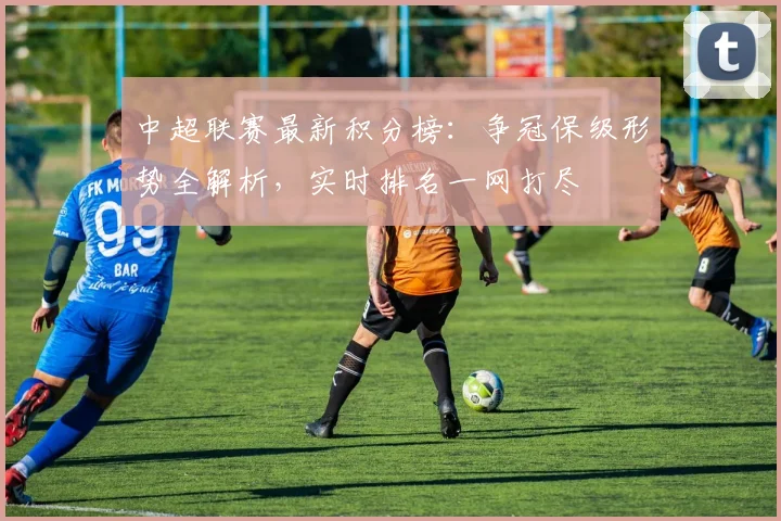 中超联赛最新积分榜：争冠保级形势全解析，实时排名一网打尽