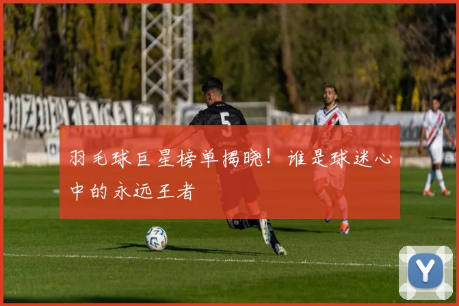 羽毛球巨星榜单揭晓！谁是球迷心中的永远王者